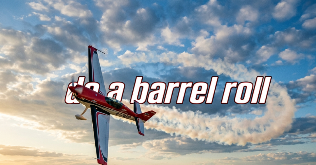 Do a Barrel Roll: Meaning, Google Trick & Internet History